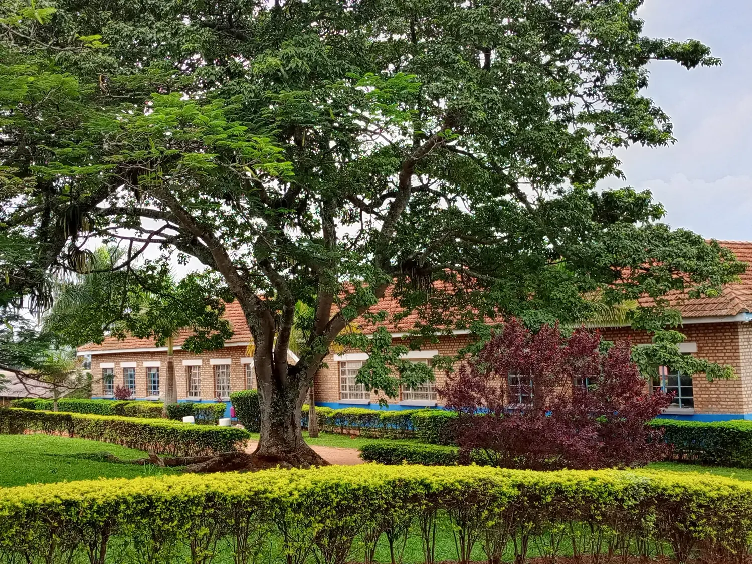 Fachada del campus entre jardines y un gran árbol, con techo de teja y ventanas de marco azul.